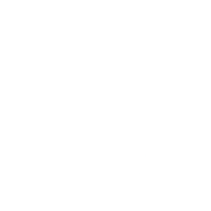 CSS Logo