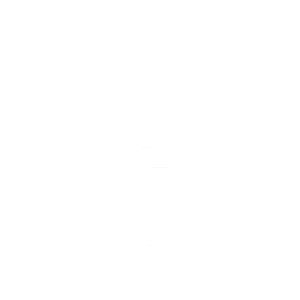 HTML Logo